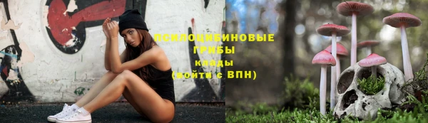 стафф Арсеньев