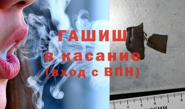 стафф Арсеньев