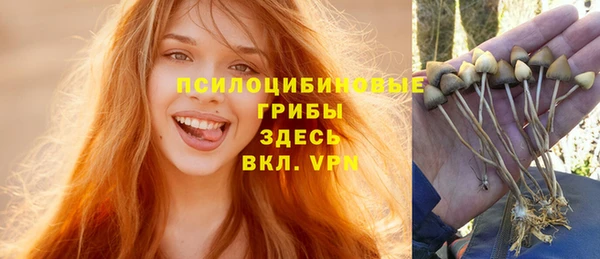 стафф Арсеньев