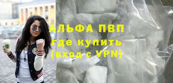 шишки Снежногорск